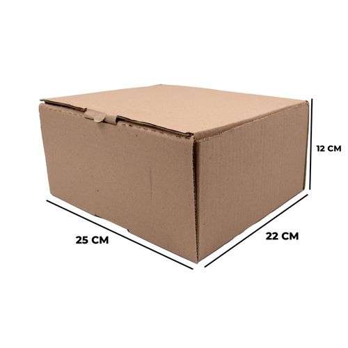 Caixa De Papelão Para Correios Media 25X22x12