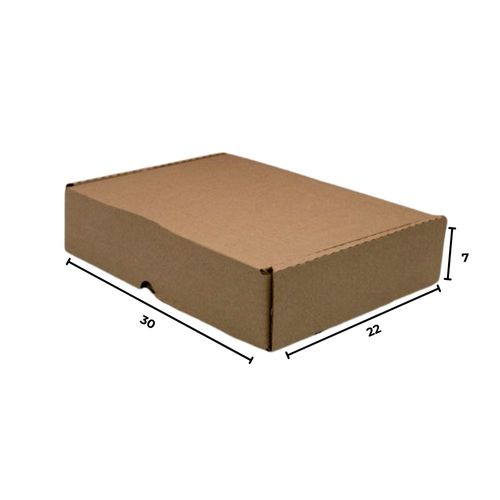 Caixa De Papelão Para Correios Pequena 30X22x07