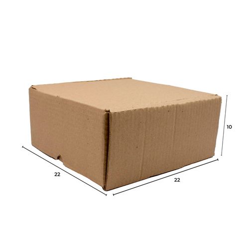 Caixa De Papelão Para Correios Pequena 22X22x10
