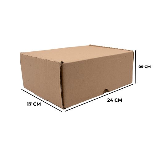 Caixa De Papelão Para Correios Pequena 24X17x09