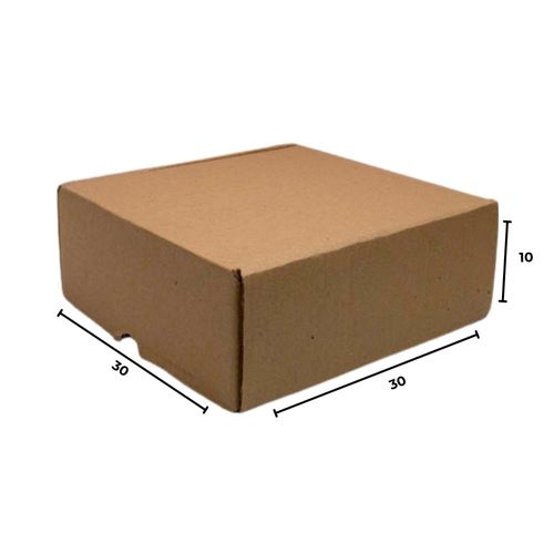 Caixa De Papelão Para Correios Media 30X30x10